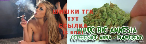 хмурый Белоозёрский