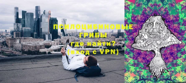 твердый Богородицк