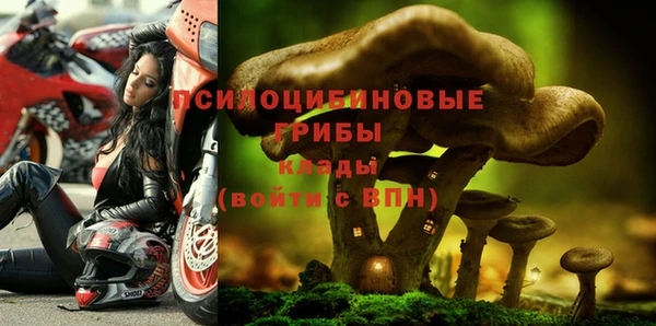 хмурый Белоозёрский
